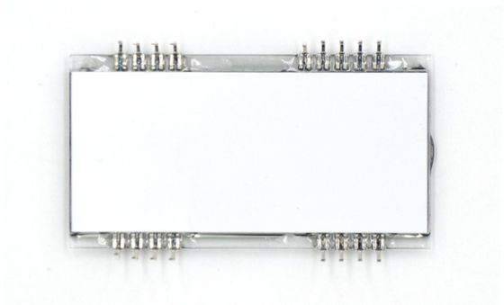 Μονοχρωματική LCD επίδειξη της TN, καρφίτσα μετάλλων/επίδειξη συνήθειας LCD FPC