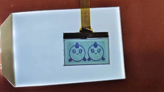 Υψηλής ποιότητας θετική ψηφία FSTN LCD οθόνη προσαρμοσμένη μεταδοτική οθόνη TN Lcd μονάδα για οργάνωση